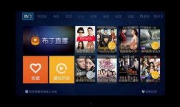 布丁独家爆料怎么做的视频,如何制作令人垂涎的布丁美味