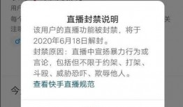 辛巴天道爆料视频